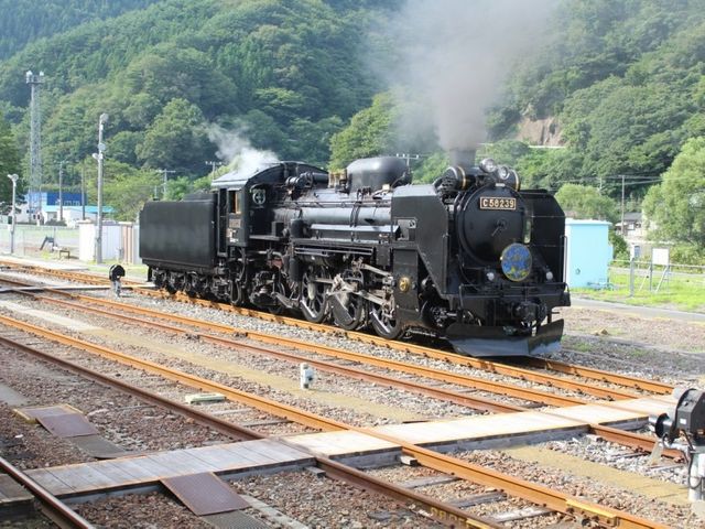 SL���_�l�ׂ̗����h�󗈊�