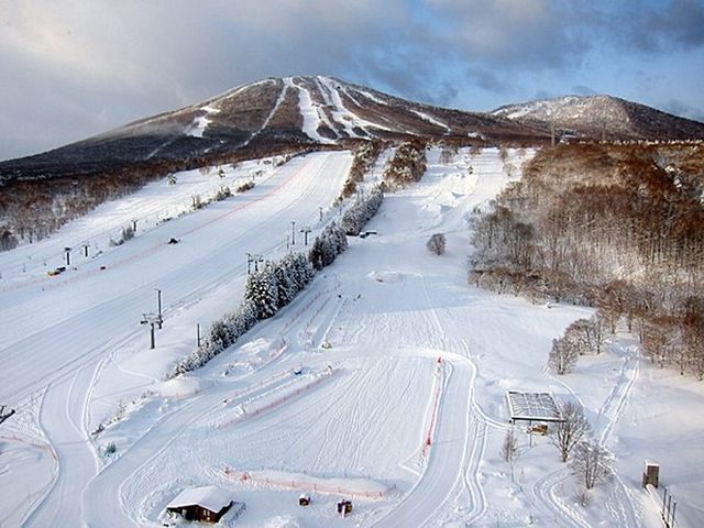 ���䍂���X�L�[��_�l�ׂ̗����h�󗈊�