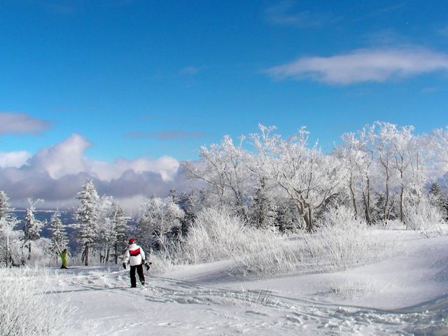 ���䍂���X�L�[��_�l�ׂ̗����h�󗈊�