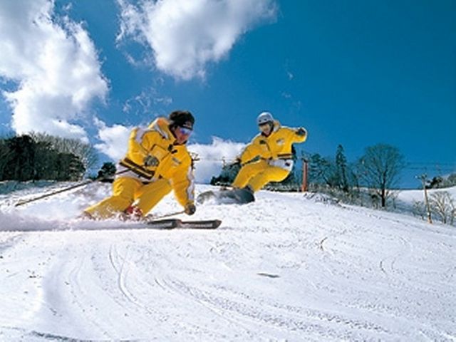 ������X�L�[��_�l�ׂ̗����h�󗈊�