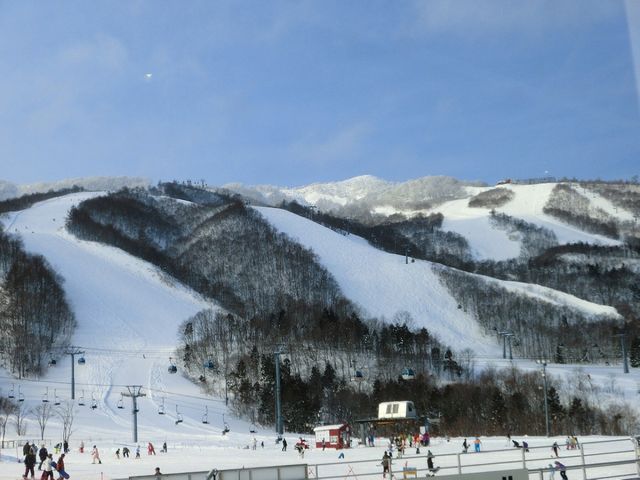 �Ė������X�L�[��_�l�ׂ̗����h�󗈊�