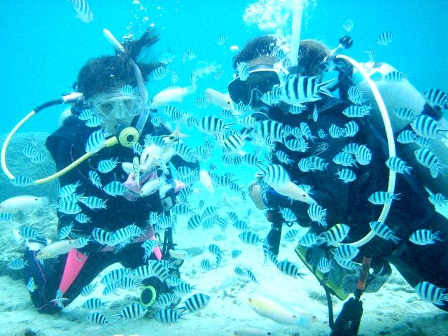 �X�L��������Ă���Ԃ����킢���M�ы����W�܂��Ă��܂����I_�����Ȃ�J�EBOY�_�C�r���O��y��