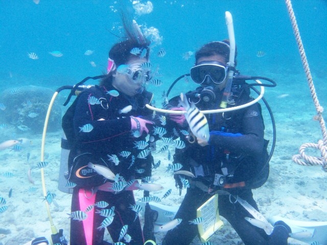 �G�A�؂�̍ۂɎ����̃��M�����[�^�[���O���A����̃I�N�g�p�X�����炤���K�ł��I_�����Ȃ�J�EBOY�_�C�r���O��y��