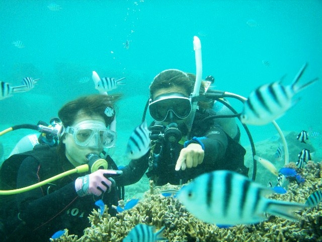 �T���S���R�̂����B�������߂��Ɍ����ă����b�N�X���Ď��̃X�L���ɐi�݂܂��傤�I_�����Ȃ�J�EBOY�_�C�r���O��y��