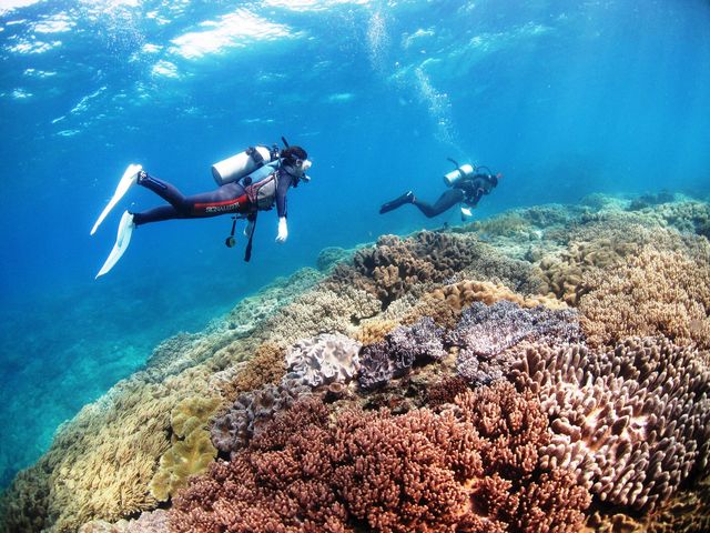 ��������(���������݂����Ȃ����)�����Ă��Đ����U���c�A�[���y�����Ȃ��Ă��܂����I_�����Ȃ�J�EBOY�_�C�r���O��y��