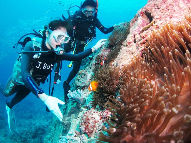 �����ړ����邾���ŃN�}�m�~��T���S�����X�Ɩڂ̑O�Ɍ���܂��B_�����Ȃ�J�EBOY�_�C�r���O��y��