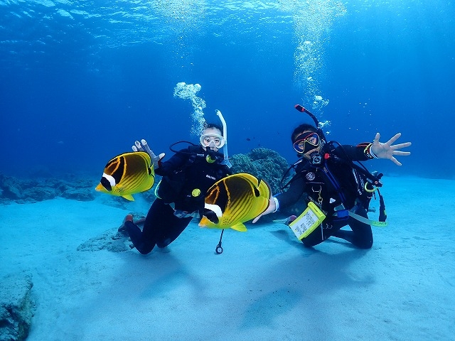 ���t�g�_�C�r���O�T�[�r�X