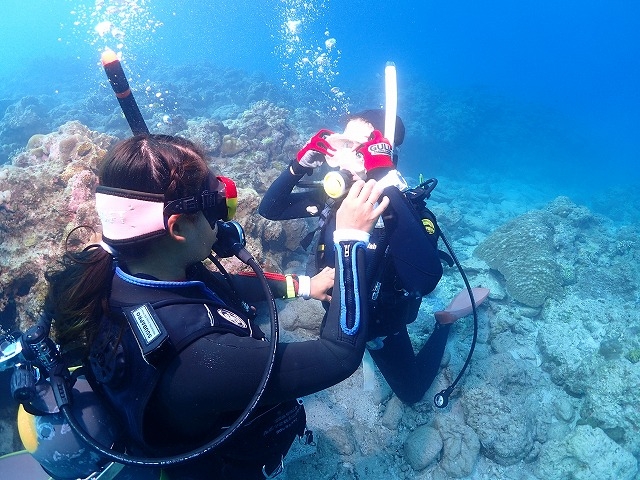 ���t�g�_�C�r���O�T�[�r�X