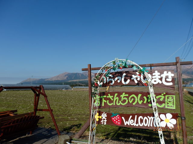 南阿蘇岩下さんちのいちご園 予約 アクセス 割引クーポン じゃらんnet