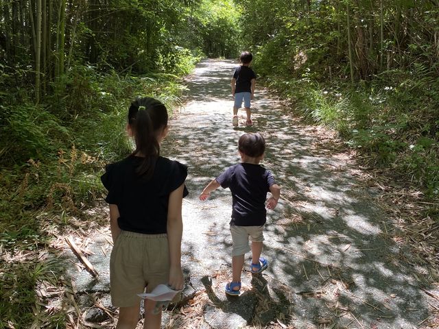 �|�M�𔲂���ƍH�[�ɂȂ�܂���_�I�����[�������|����