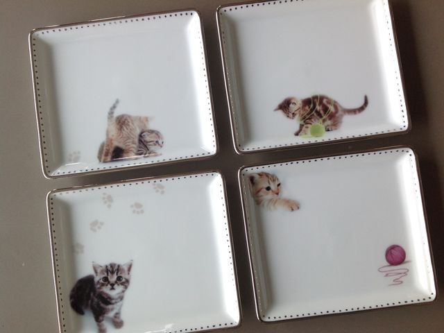 ���킢�����A���L�����̃v���[�g_�|�[�Z���[�c�T�����E�X�^�W�I�u���[�O���X