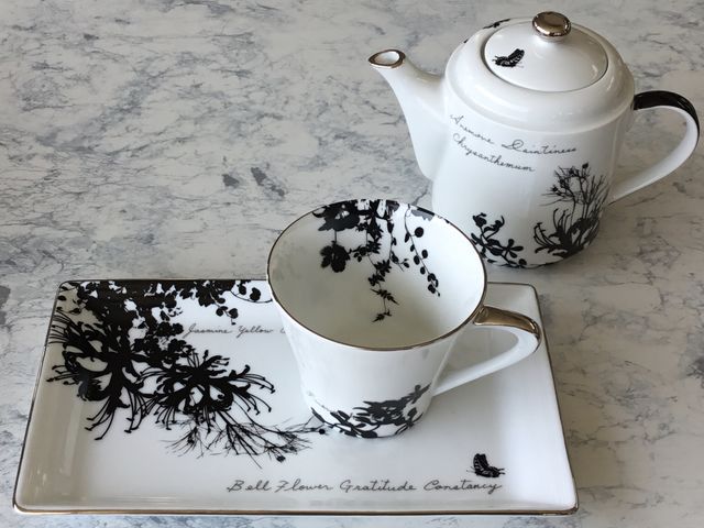 �Z�b�g�Ńe�B�[�^�C��_�|�[�Z���[�c�T�����E�X�^�W�I�u���[�O���X