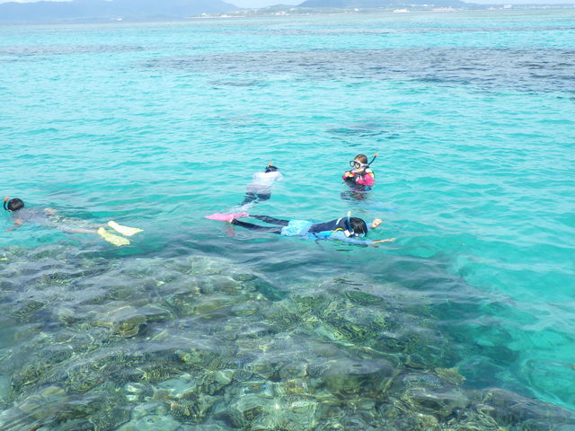 �_�C�������h�w�b�h�@�y���V����&�}����