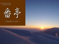 Ԓ`bambootail`̎ʐ^1