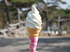 濃厚なソフトクリーム
季節により色々な味が楽しめます_那須高原南ヶ丘牧場