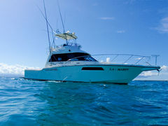 �Ί_���}�����T�[�r�X�̎ʐ^