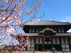 奈良観光ガイドの写真1