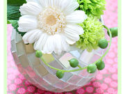 A[gvU[uht[t[E~[iWGEb̎ʐ^4