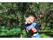 田村りんご園の写真1