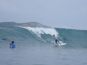 �h�����Y�V���b�v�̎ʐ^1