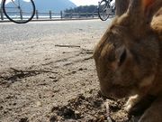 ON[YTۇUcaptain.cook̎ʐ^4