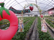 �숢�h�≺���񂿂̂��������̎ʐ^3