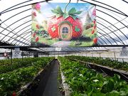 �숢�h�≺���񂿂̂��������̎ʐ^4