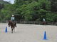 TANIMOTO HORSE RANCHの写真2