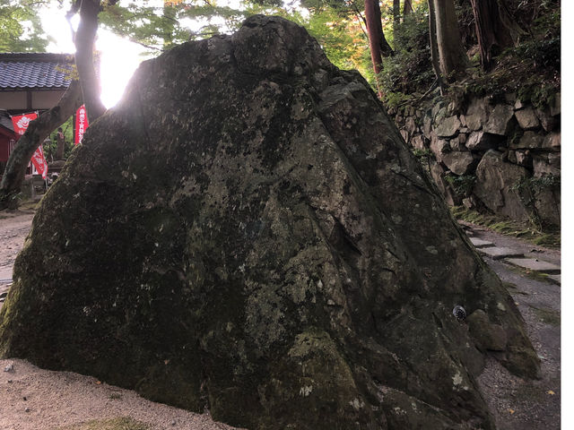 �ʎ��_�����T��