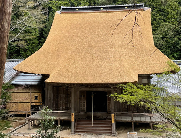 �ߘa�O�N�x�ɏC�����I�����΂���̖{���i�o�^�L�`�������j
���T�̌��͂��̖{�����ɂčs���܂�_�����T��