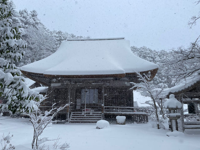 �~�̊����T���{��_�����T��