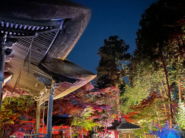 �������C�g�A�b�v�̗l�q
11���g�t�ɍ��킹�ă��C�g�A�b�v���܂�_�����T��