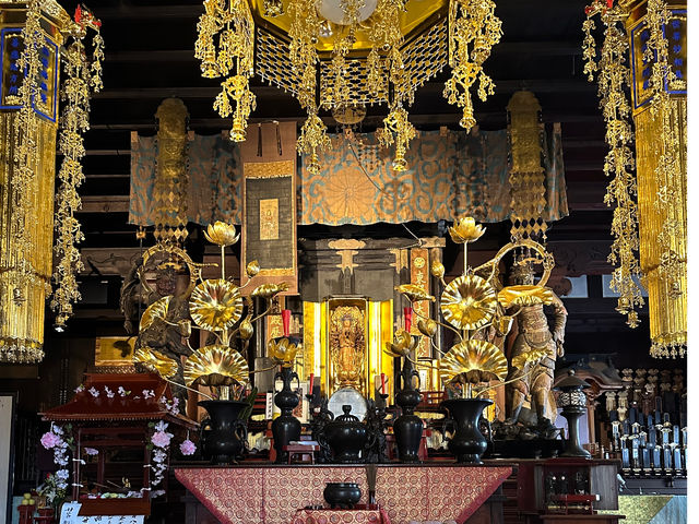 �����T���{��_�����T��