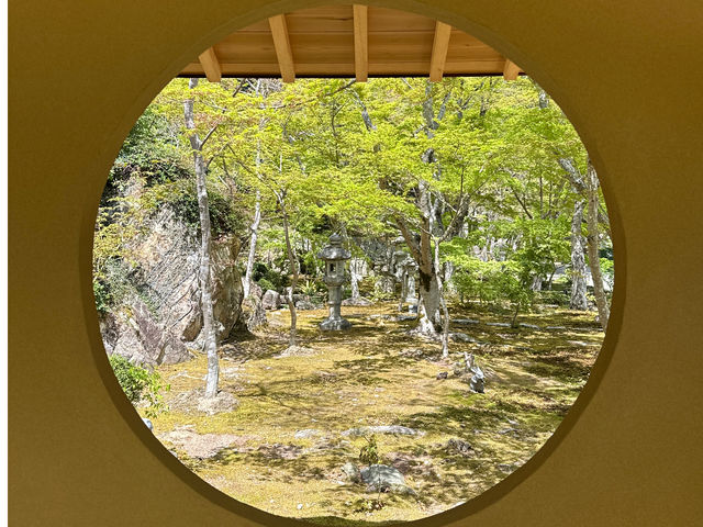 �V�΂̋���_�����T��