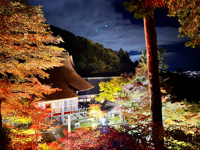 ���C�g�A�b�v_�����T��