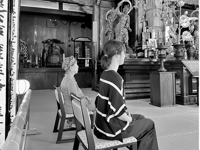 ���T�̌��̓C�X�ł��\_�����T��