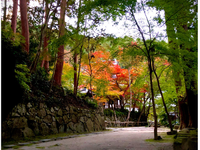 秋の紅葉と境内参道_瓦屋禅寺