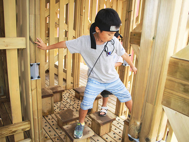 �E�ґ̌����H�u�V�̊��v_�j�W�Q���m����