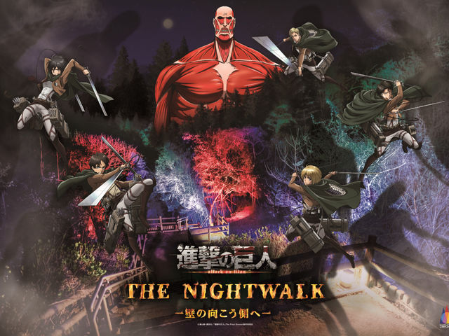 �j�W�Q���m�����̎ʐ^1