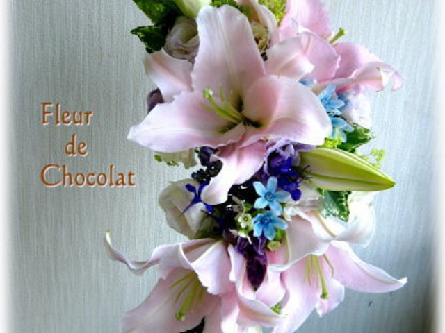 �Ԃ̃A�g���G�@Chocolat�@neige