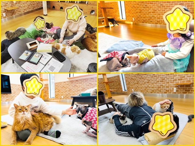 ���ݐؐ��L�J�t�F�@�L�J�t�F�g�t�y���{���s�z�@���q�l�̗l�q_�L�J�t�F�@�g�t