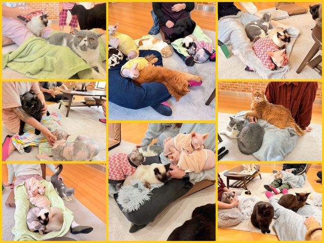 ���ݐؐ��L�J�t�F�@�L�J�t�F�g�t�y���{���s�z�@���q�l�̗l�q_�L�J�t�F�@�g�t