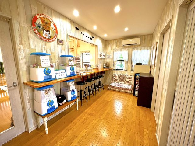 ���ݐؐ��L�J�t�F�@�L�J�t�F�g�t�y���{���s�z�@�e���X�y�[�X�i���H��ҍ�.�O�b�Y�̔��j_�L�J�t�F�@�g�t