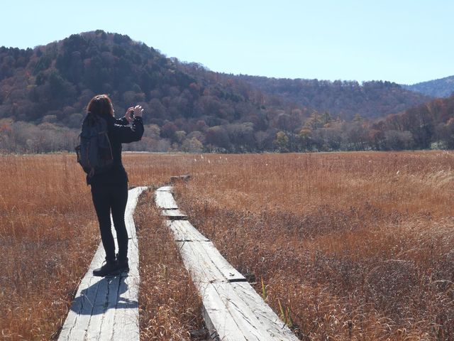 �ǂ��܂ł��L���V��̒�E�����������������y���݂܂��傤�����������g���b�L���O����c�A�[_�����h���b�v�@�A�E�g�h�A�K�C�h�T�[�r�X