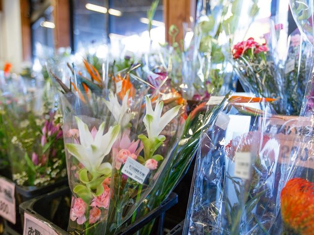 ���Ԃ��L��܂����_�V���s�A�O���p�[�N