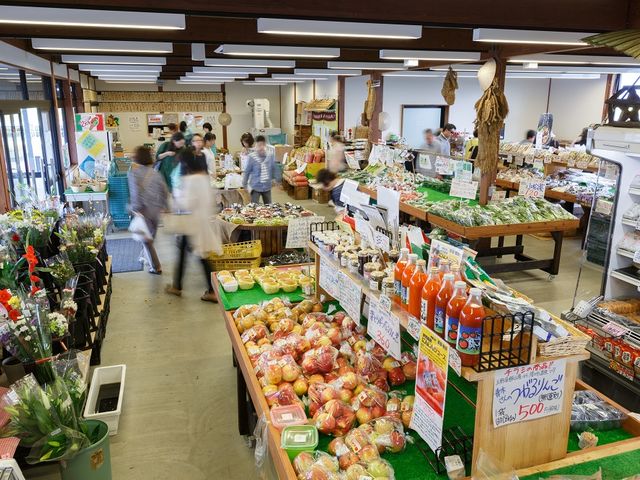 �ߗה_�Ƃ���̖�؂��W�܂钼���������݁I_�V���s�A�O���p�[�N