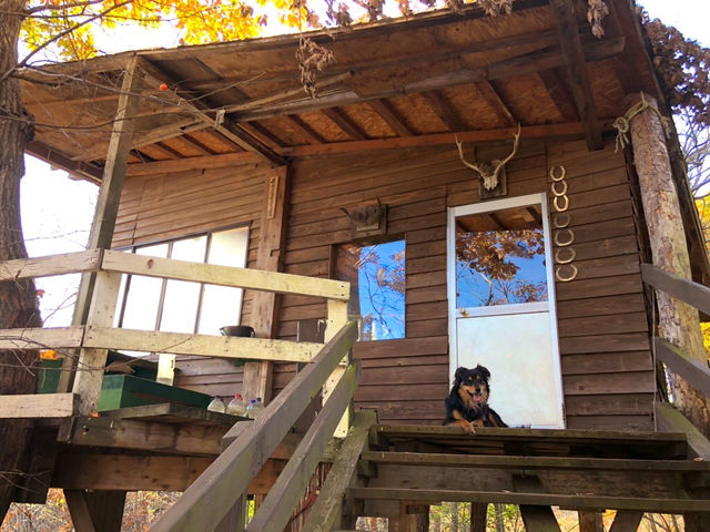 �q�c���[�n�E�X�O���r_��a�z�[�X�p�[�N