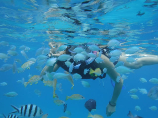 �{�[�g�V���m�[�P�����O�|�C���g���߂�_�����C���m