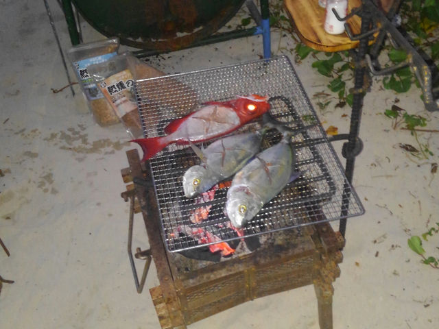 �o�[�x�L���[���ł���_�����C���m