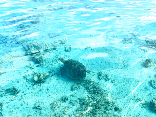 �^�C�~���O���ǂ��Ƃ���Ȋ����Ō����܂�_�����C���m